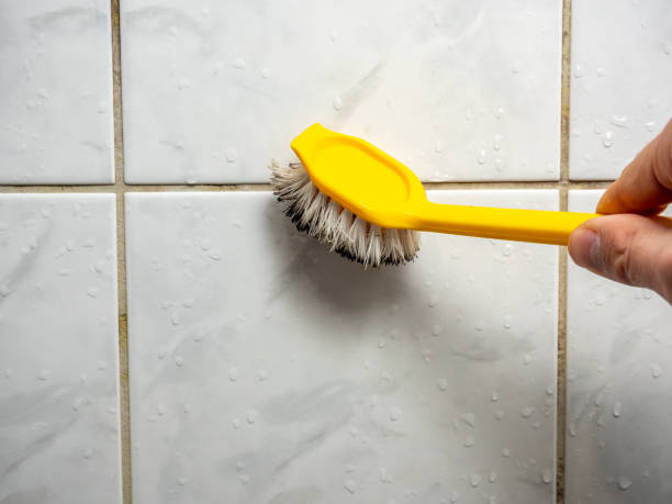 Best Commercial Mold Remediation in Mitchell, IL