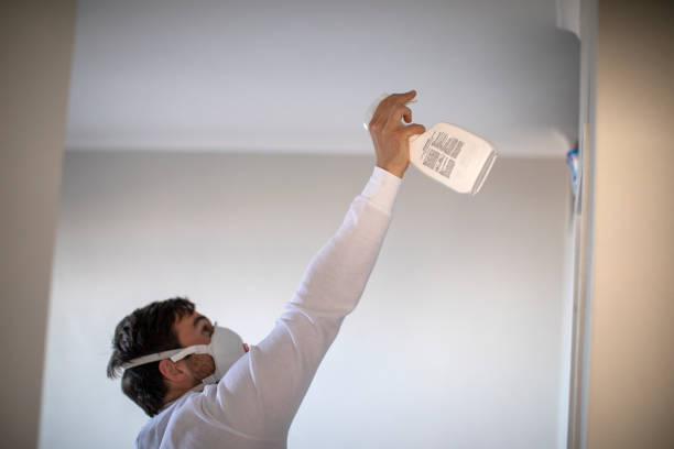 Best Mold Remediation for Schools in Mitchell, IL